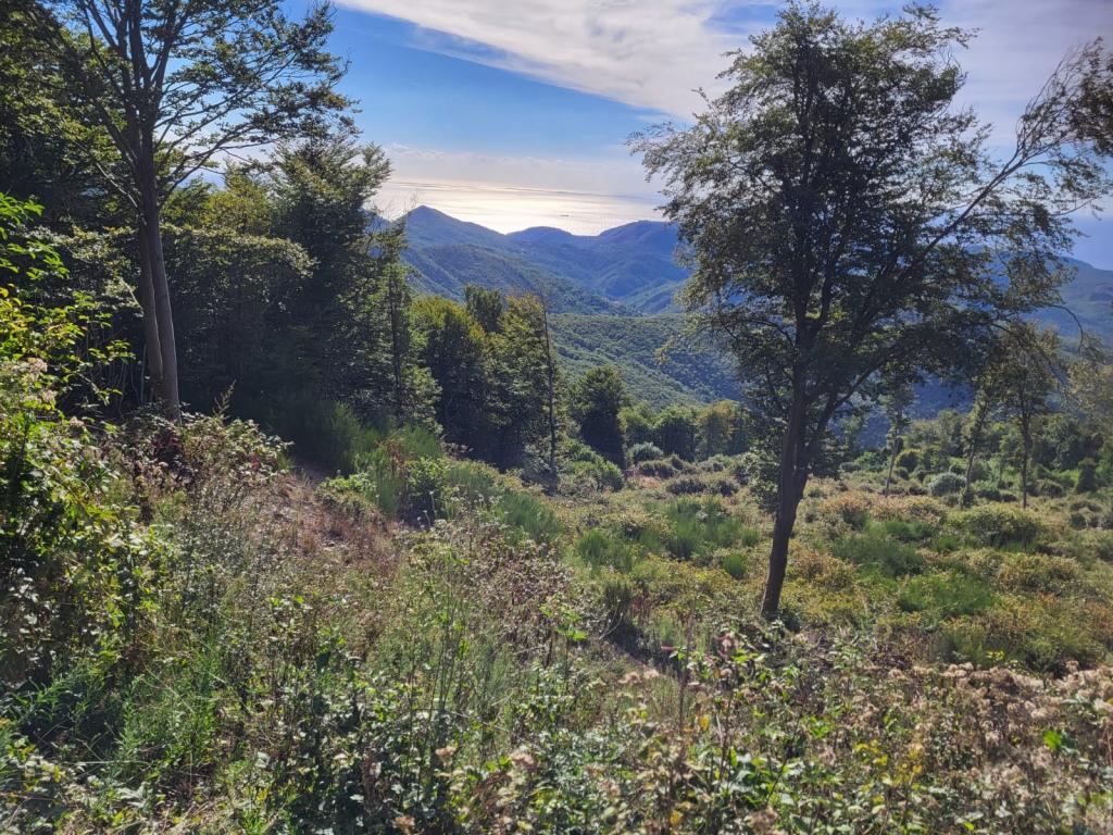 Percorsi Trekking Sensa Sprescia