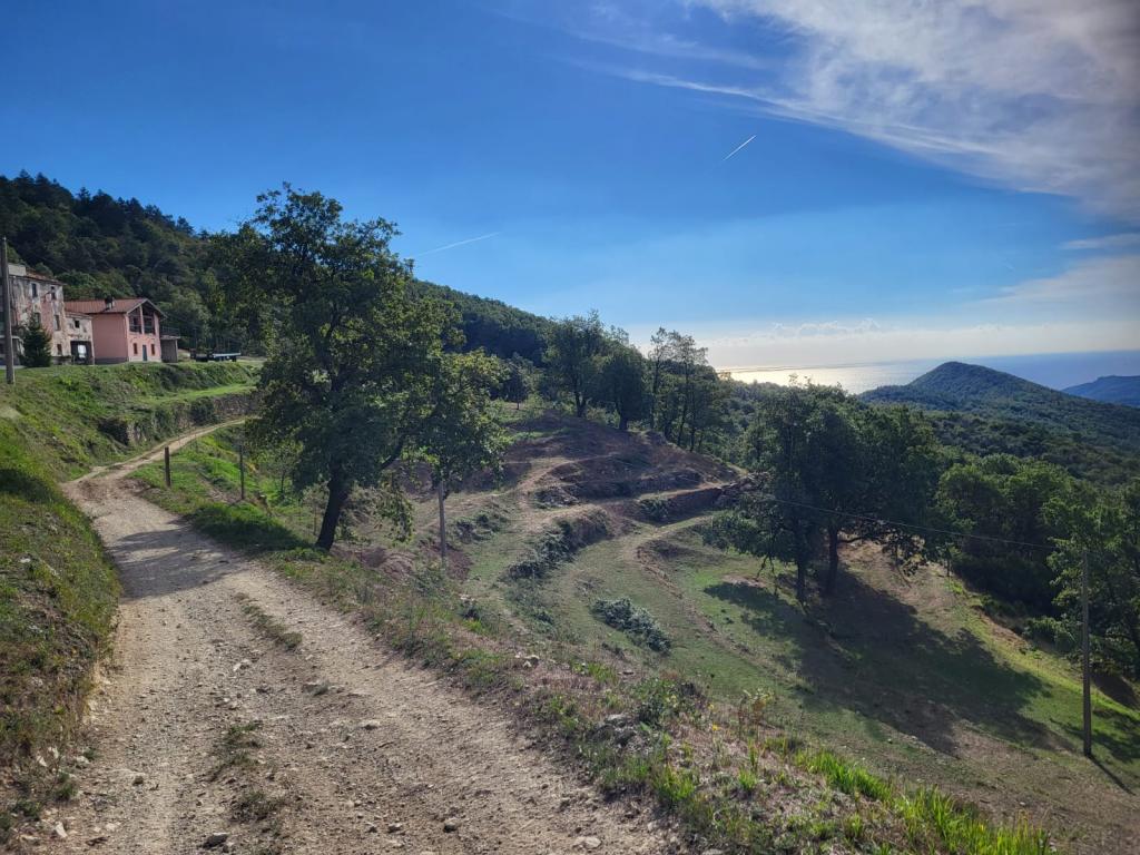 Percorsi Trekking Sensa Sprescia